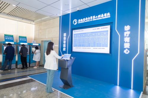 空中成像 用科技创新架起公共服务的桥梁——信息技术咨询服务
