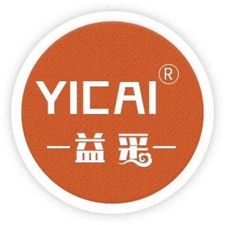 上海益采信息技术 赋能数字化转型的专业信息技术咨询服务