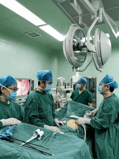 加强重点专科建设 持续提升信息技术咨询服务水平