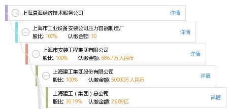 上海夏海经济技术服务公司基本信息与信用状况概览